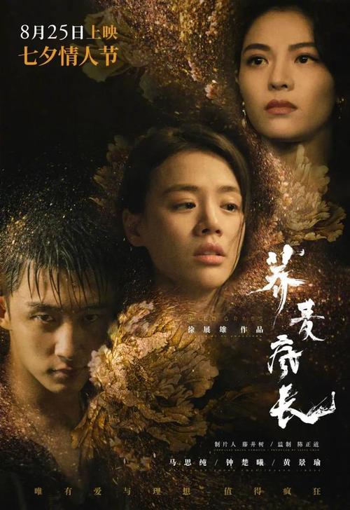 怎么办假渤海银行支票